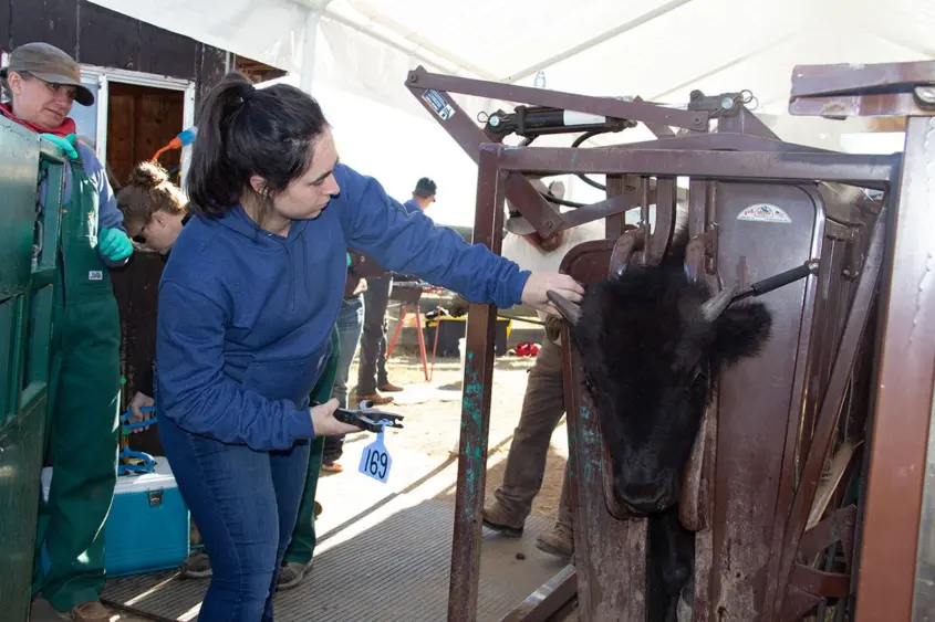 unnamed-2025-12-05t150901-634