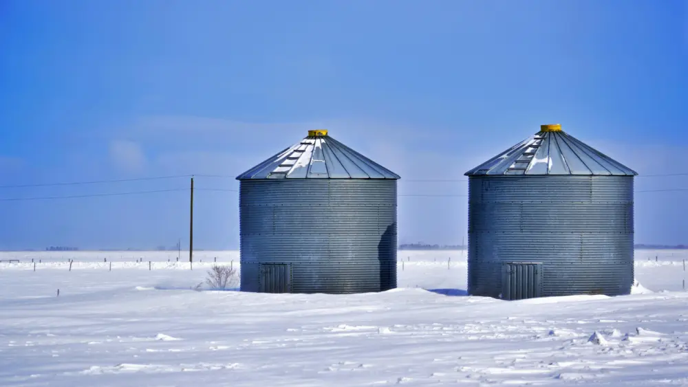 pexels-deneen-l-treble-390196-11248975