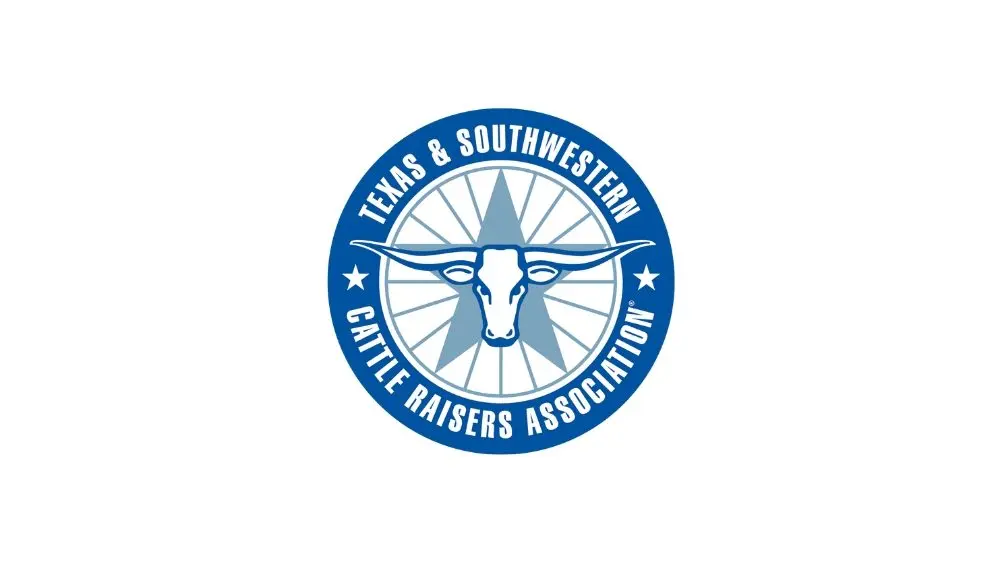 web-photo-template-onecms-1000-x-563-px-2025-12-16t084342-977