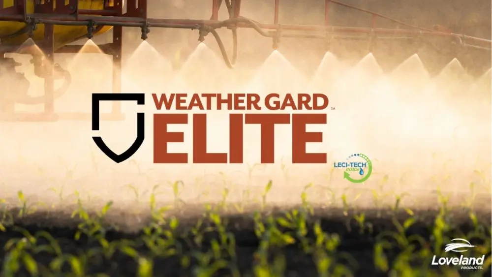 web-photo-template-onecms-1000-x-563-px-2025-12-16t134545-615