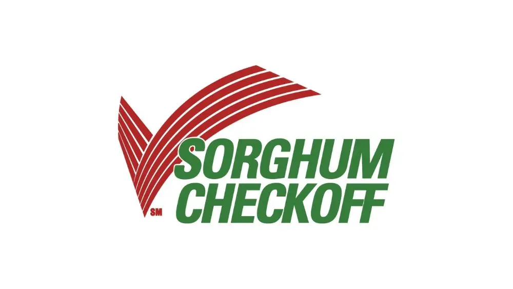 web-photo-template-onecms-1000-x-563-px-2025-12-18t063919-724