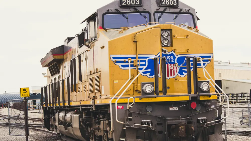 pexels-brett-sayles-981308