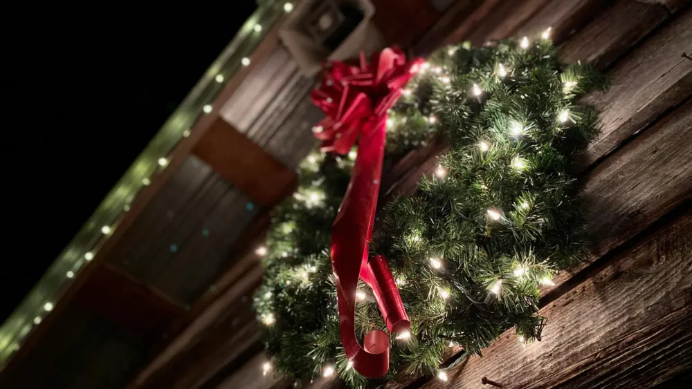 pexels-wesley-woodard-177495-3318329-1