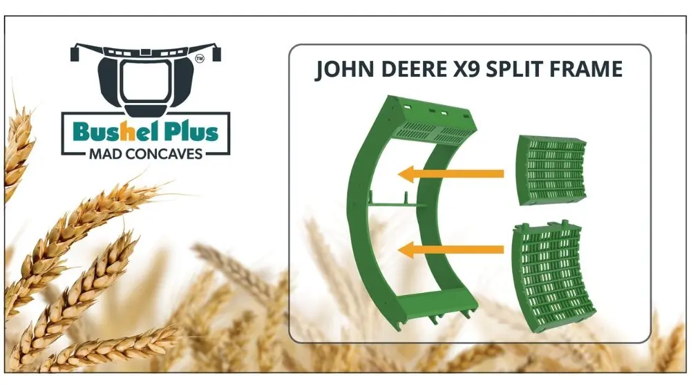 web-photo-template-onecms-1000-x-563-px-2026-01-05t165043-525