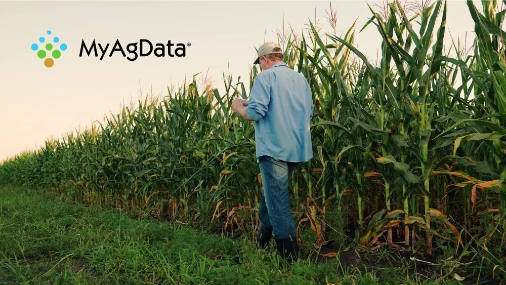 web-photo-template-onecms-1000-x-563-px-2026-01-08t111755-737331173