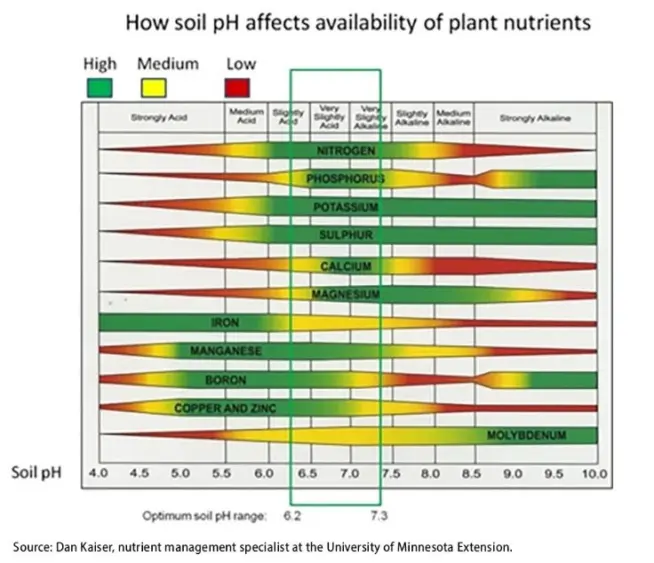 unnamed-2026-01-12t101153-908