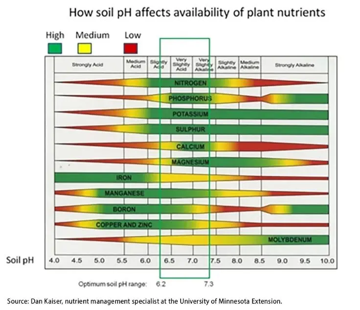unnamed-2026-01-12t101153-908