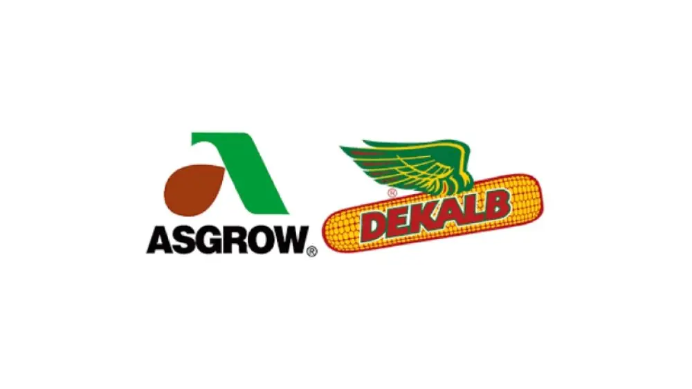 web-photo-template-onecms-1000-x-563-px-2026-01-13t105755-657