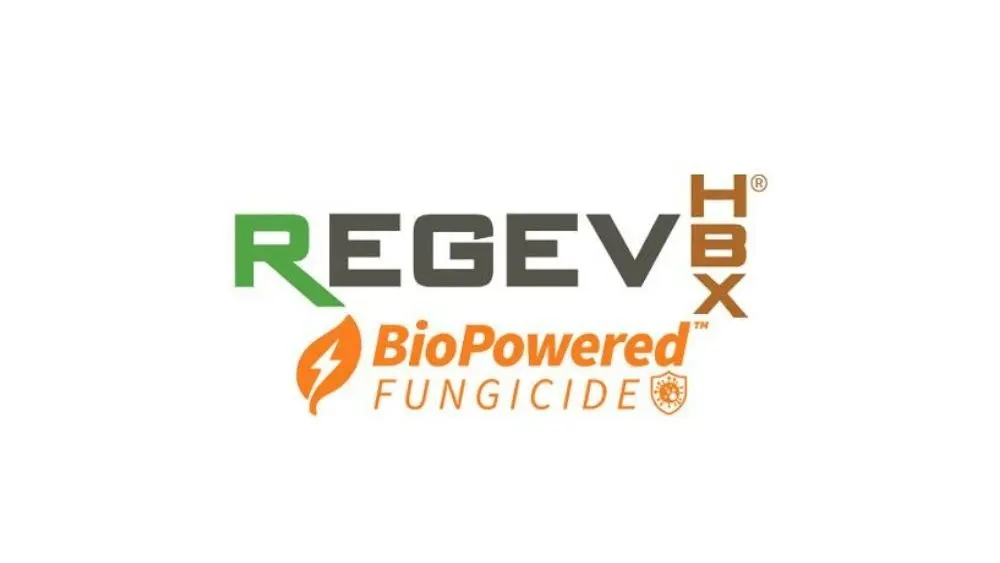 web-photo-template-onecms-1000-x-563-px-2026-01-14t101553-630