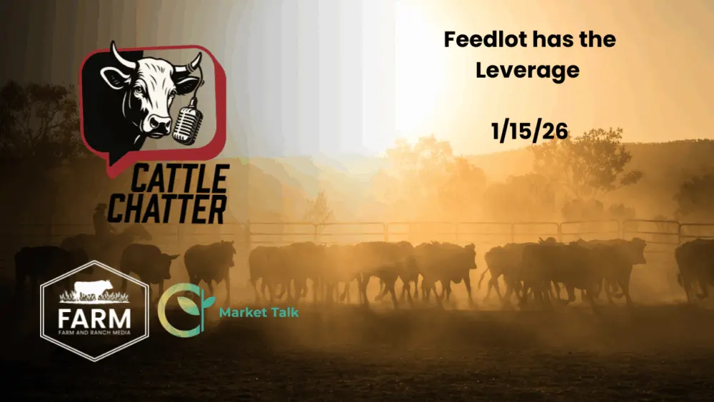 thumbnail_11-20260115-b6r3l5ttzw536699