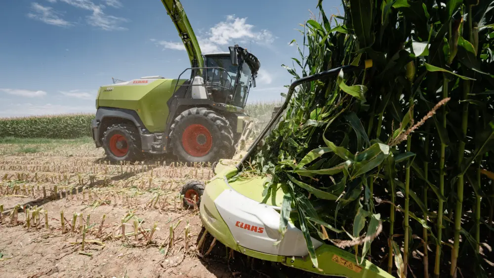jaguar-1000-series-harvesting-corn