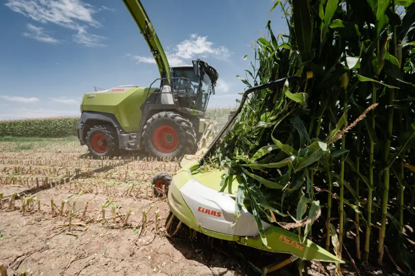 jaguar-1000-series-harvesting-corn