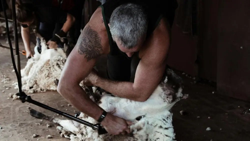 pexels-rachel-claire-5490724