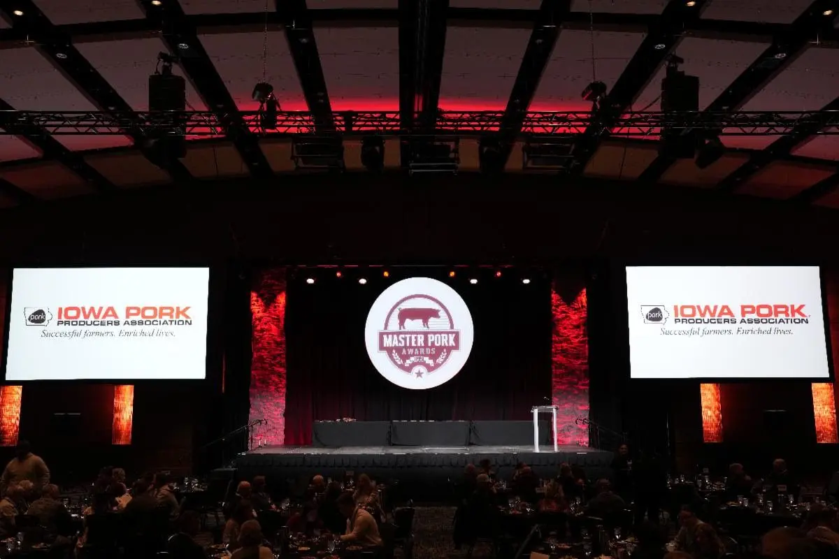 unnamed-2026-01-23t071730-288