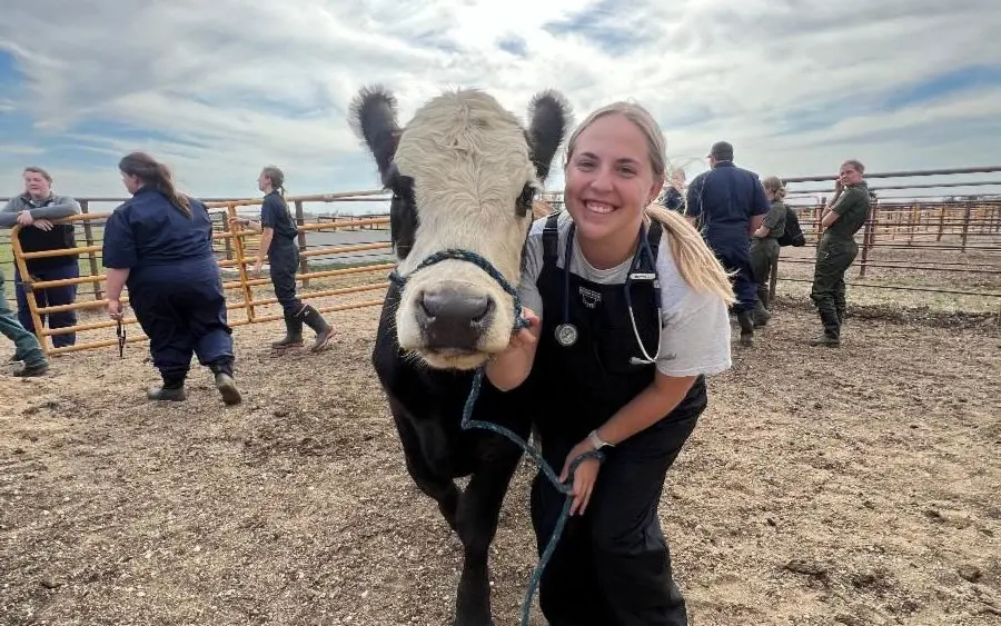 unnamed-2026-01-28t065257-829