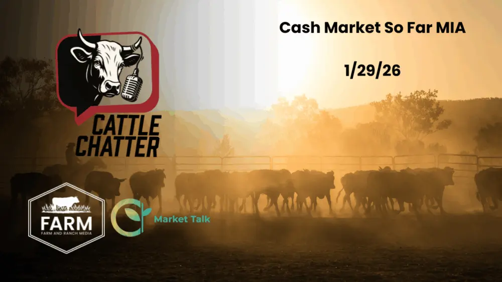 thumbnail_13-20260129-5fuqn4egv7797010