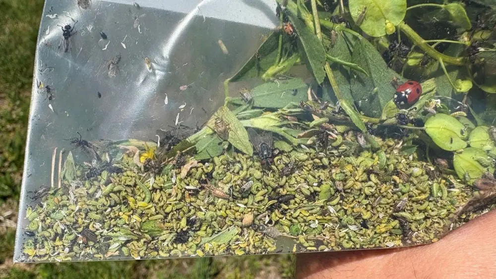 unnamed-2026-01-30t100712-162