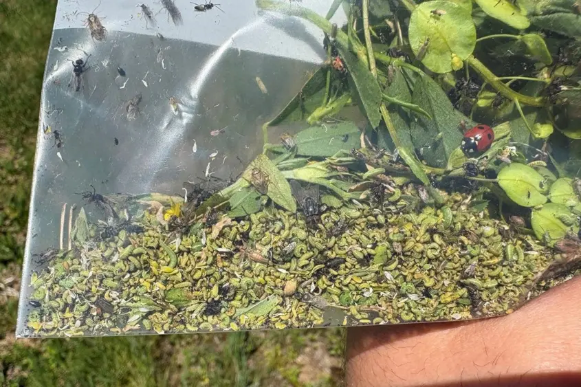 unnamed-2026-01-30t100712-162