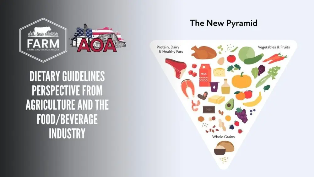 dga-thumbnail-1000x563874278-1