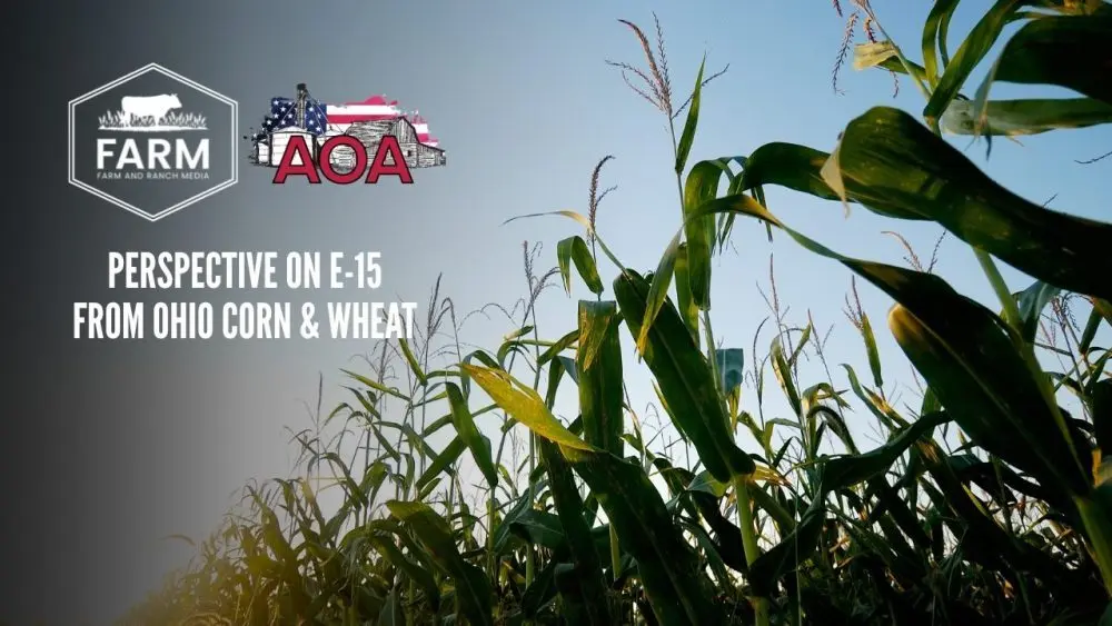 ohio-thumbnail-1000x563431035-1