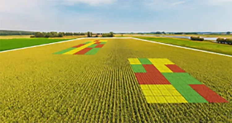 unnamed-2026-02-02t101346-677