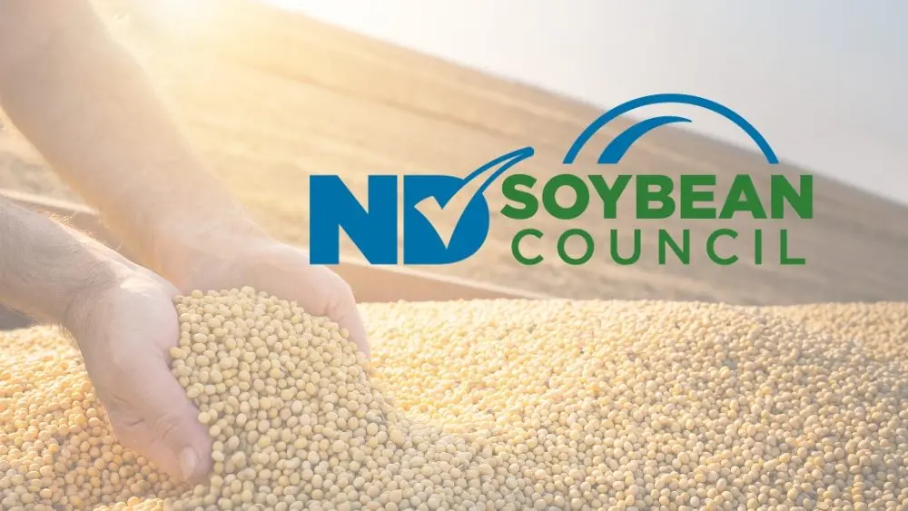 web-photo-template-onecms-1000-x-563-px-2026-02-09t072536-273