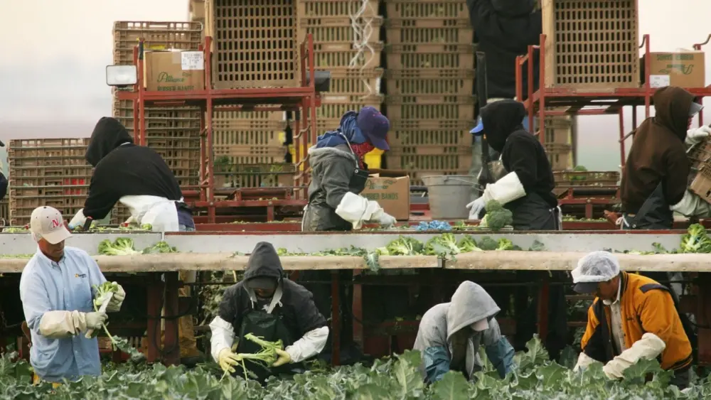 arizona-struggles-to-patrol-vast-border-with-mexico