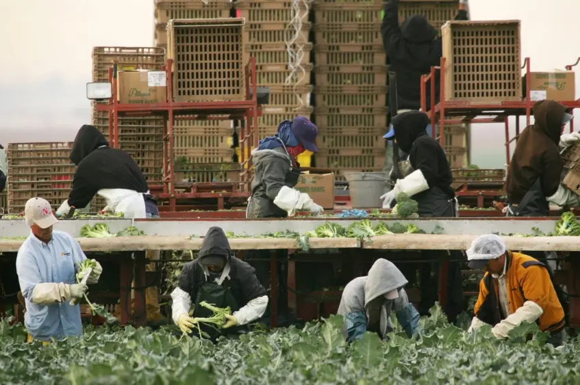 arizona-struggles-to-patrol-vast-border-with-mexico