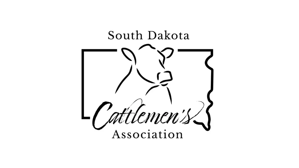 web-photo-template-onecms-1000-x-563-px-24-2