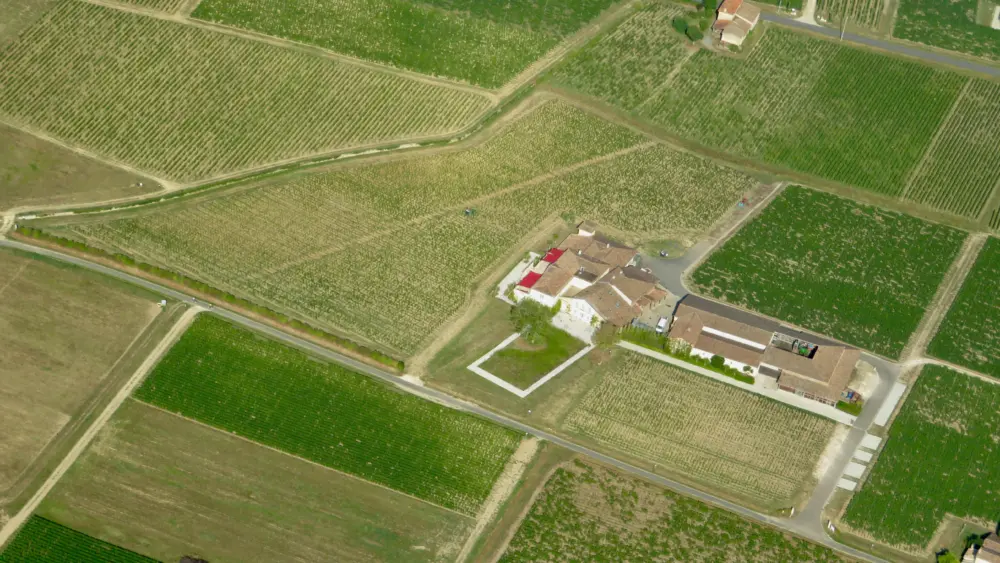 pexels-weickmann-18223186