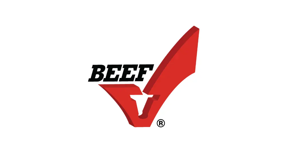 web-photo-template-onecms-1000-x-563-px-27-3