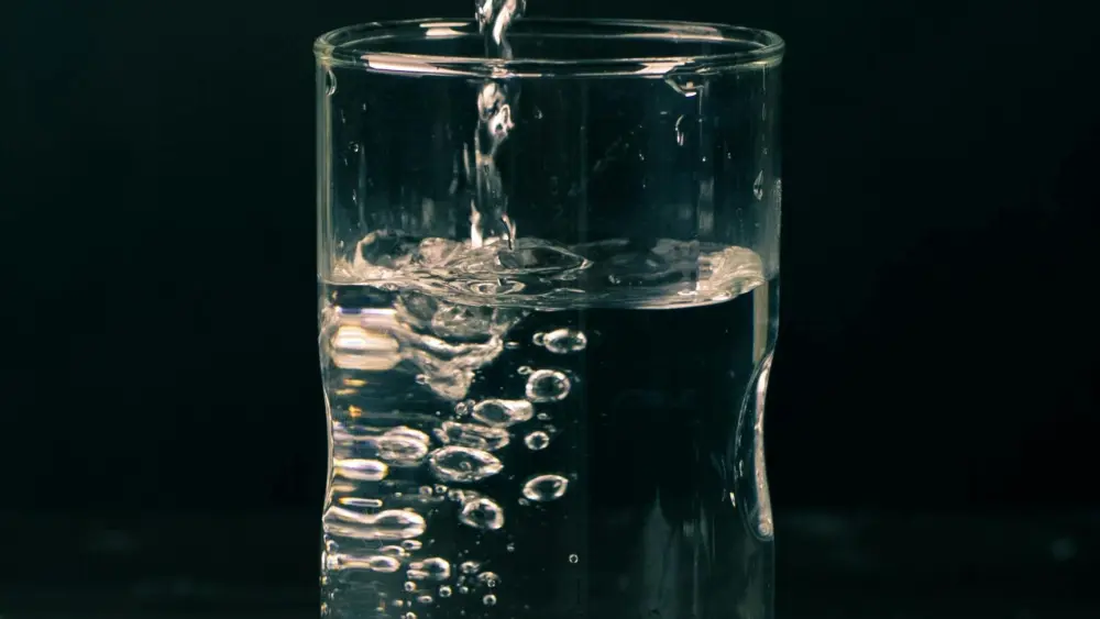 pexels-craytive-1556381