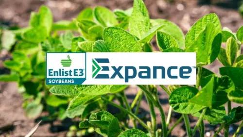 web-photo-template-onecms-1000-x-563-px-2026-03-01t160222-181