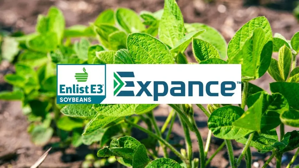 web-photo-template-onecms-1000-x-563-px-2026-03-01t160222-181