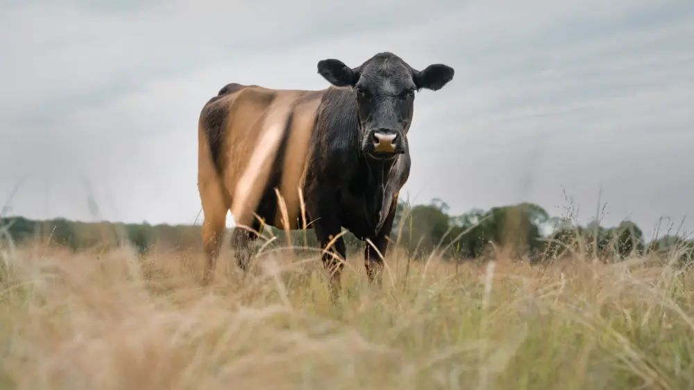 unnamed-2026-03-02t152810-494