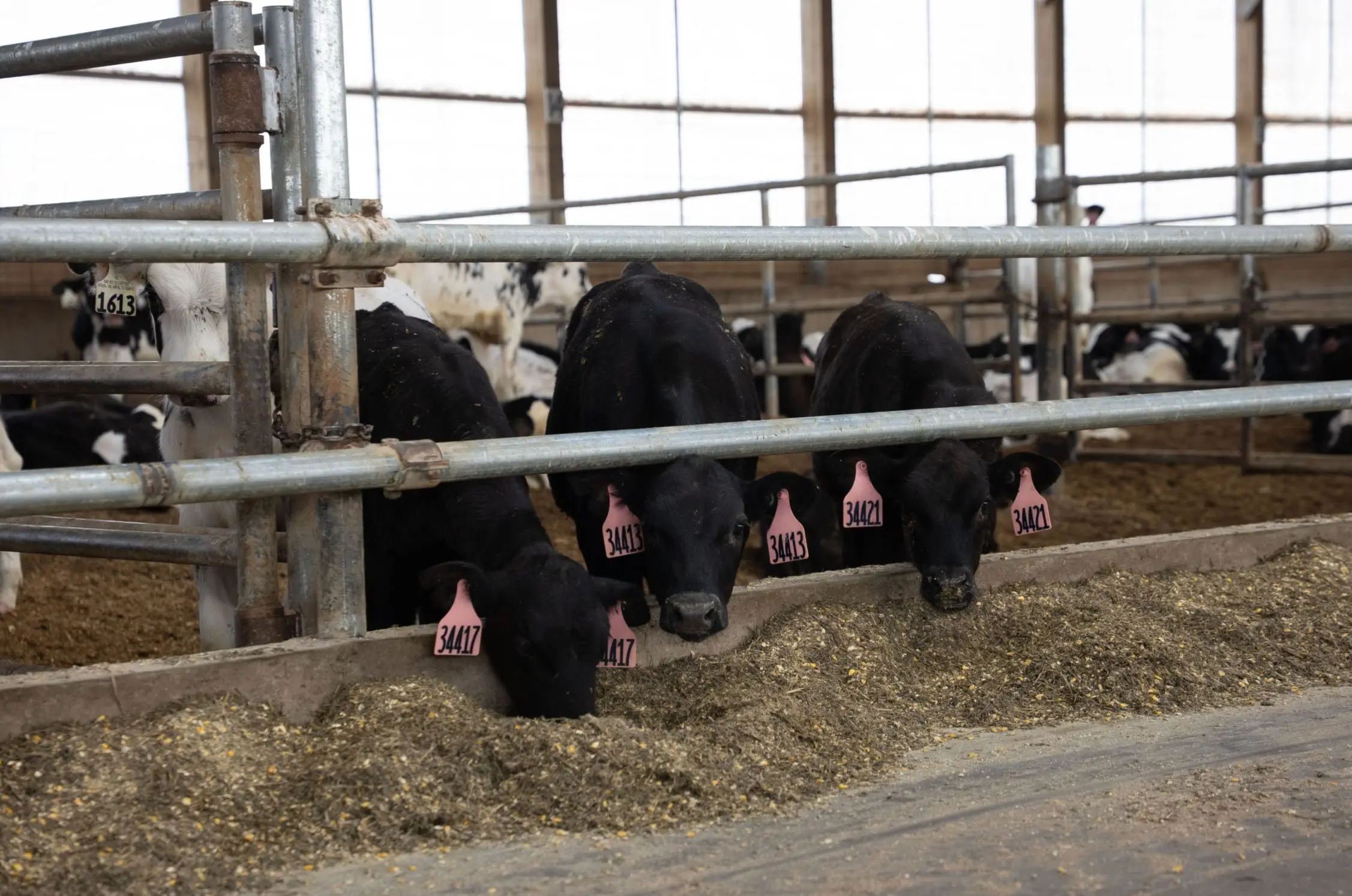 unnamed-2026-03-11t102459-204