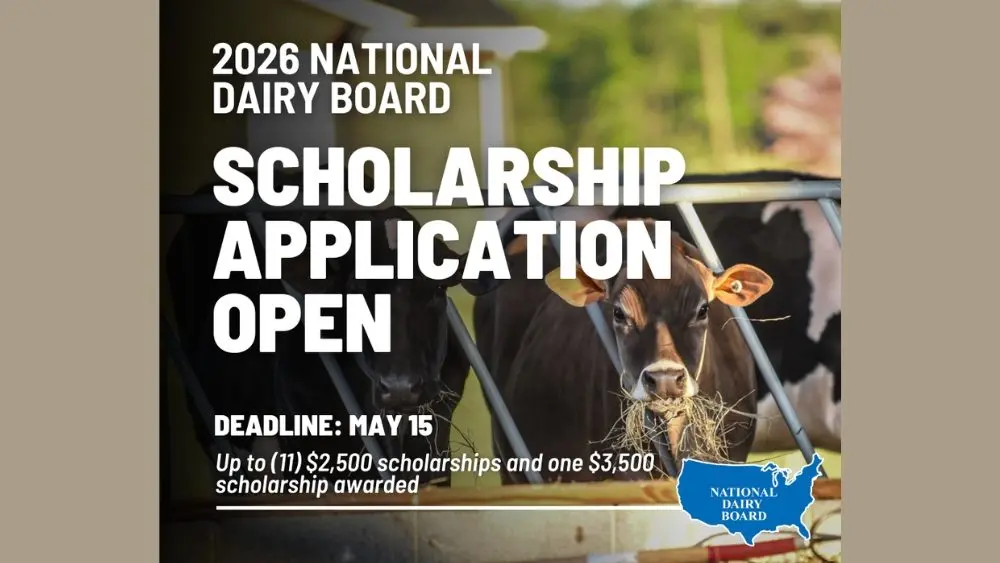 web-photo-template-onecms-1000-x-563-px-2026-03-12t080339-763