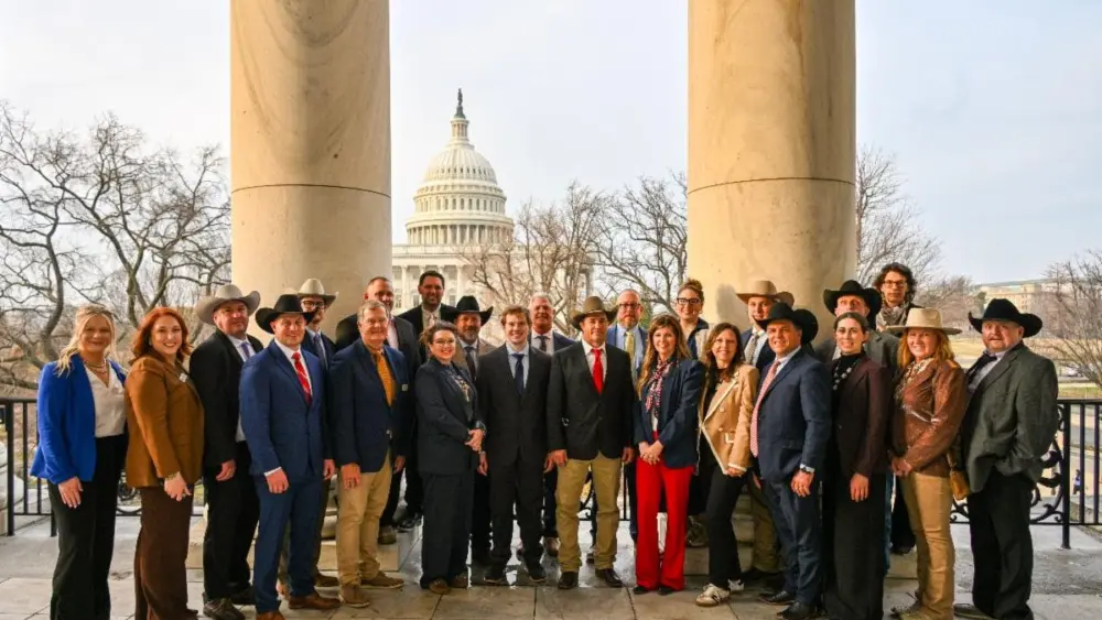 unnamed-2026-03-12t144716-091