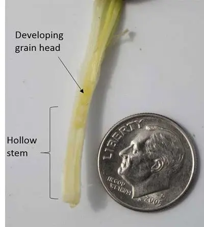 fhs-mesonet-tool-f01