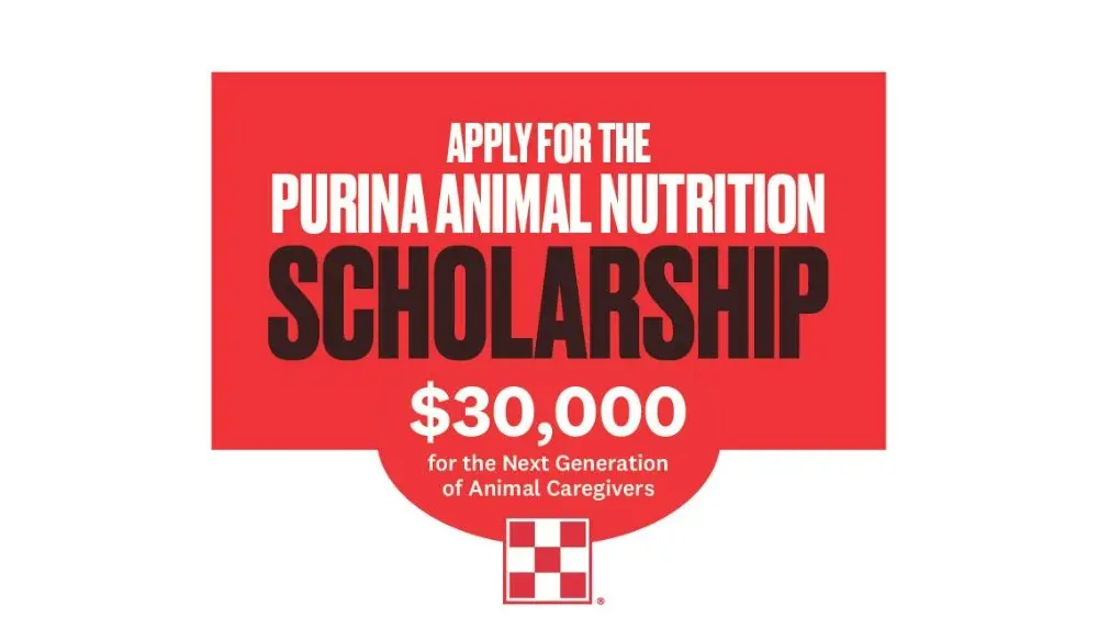 web-photo-template-onecms-1000-x-563-px-2026-03-18t121643-553