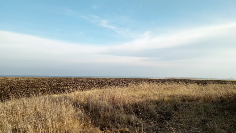 dfpost-field-4609590