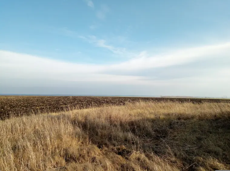 dfpost-field-4609590