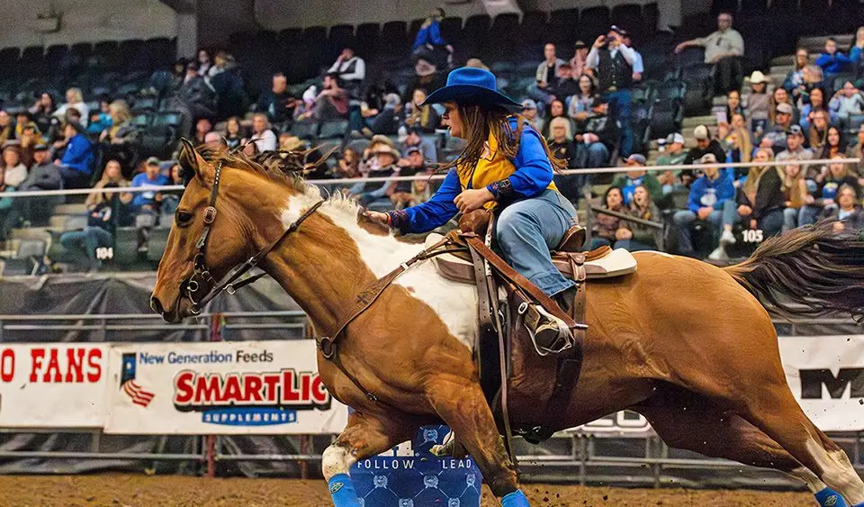 unnamed-2026-03-20t162407-423