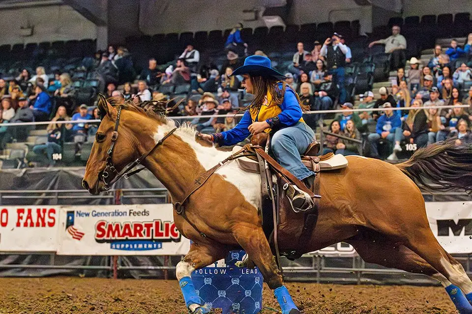 unnamed-2026-03-20t162407-423