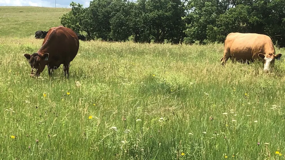 unnamed-2026-03-24t102418-530