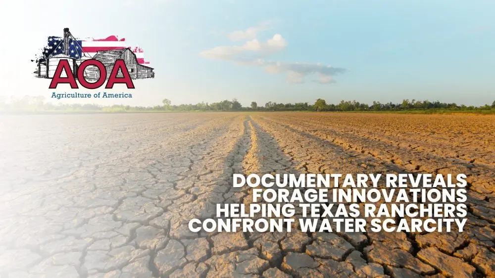 from-dust-aoa-youtube-thumbnail-1000x563196853-1