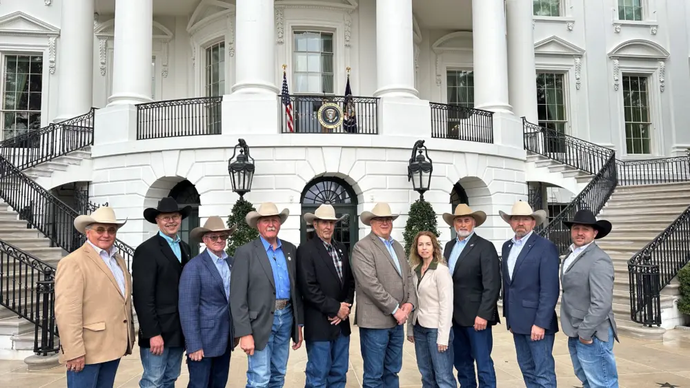 unnamed-2026-03-29t131949-972