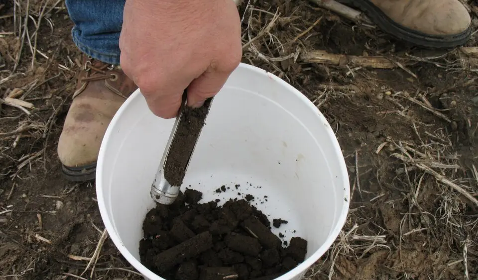 agronomy_photos_general_7929-lowres