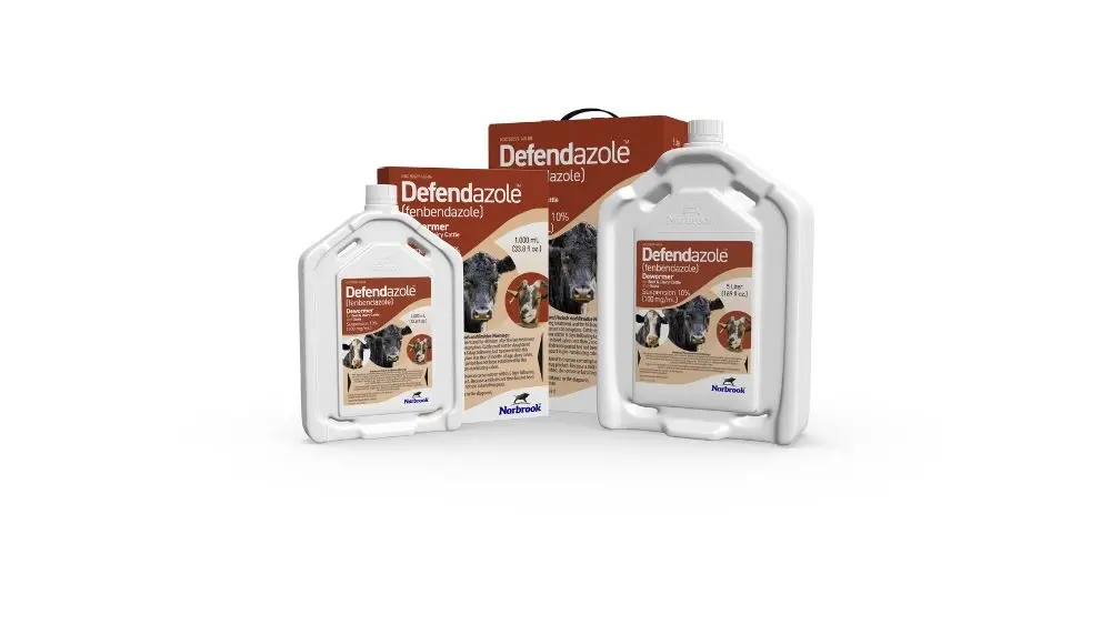 web-photo-template-onecms-1000-x-563-px-6-3