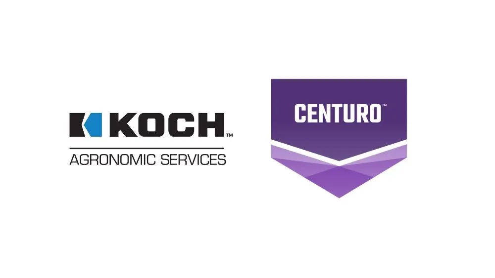 web-photo-template-onecms-1000-x-563-px-15-3